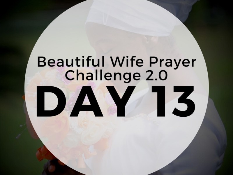 Day 13 – Understanding to flourish in the beautiful&nbsp;life