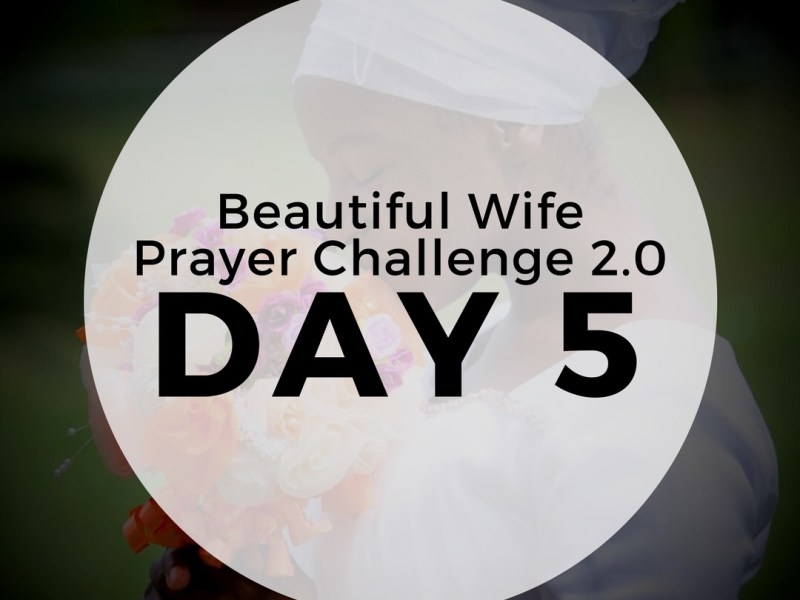 Day 5 – No&nbsp;limits