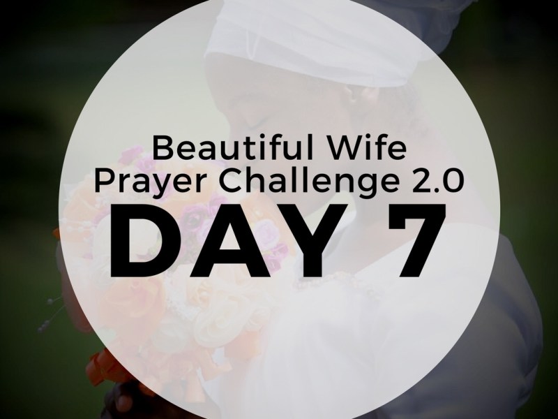 Day 7 – More wants&nbsp;met