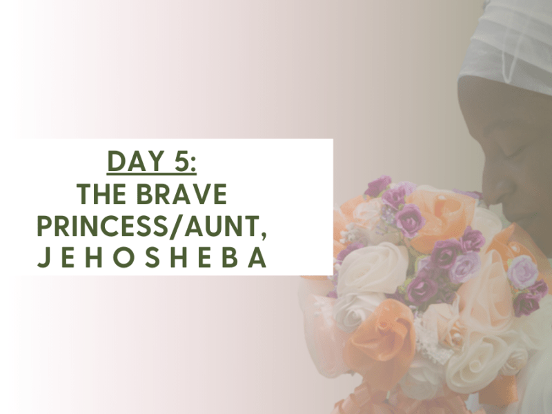 DAY 5 – THE BRAVE PRINCESS/AUNT, JEHOSHEBA (2 Kings 11:1-3, 2 Chronicles&nbsp;22:10-12)