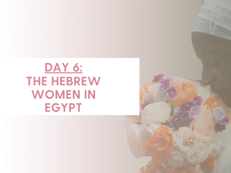 DAY 6 – THE HEBREW WOMEN IN EGYPT (Exodus 1:17-20,&nbsp;2:1-10)