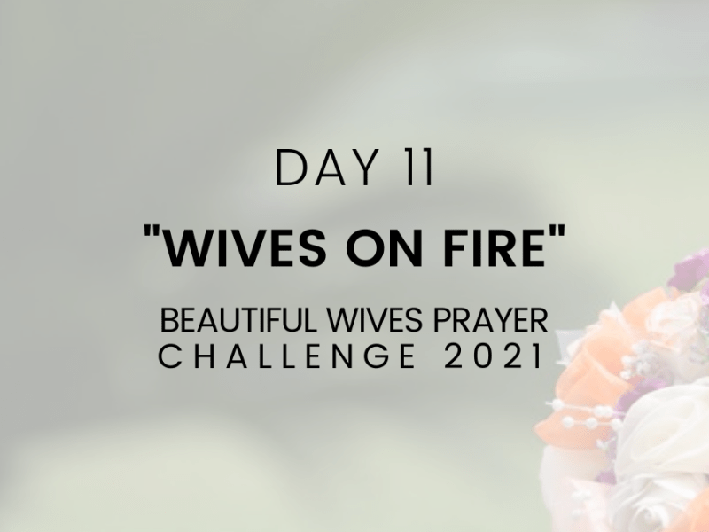 Day 11 – SELF CONTROL [able to marshal and direct our&nbsp;energies]