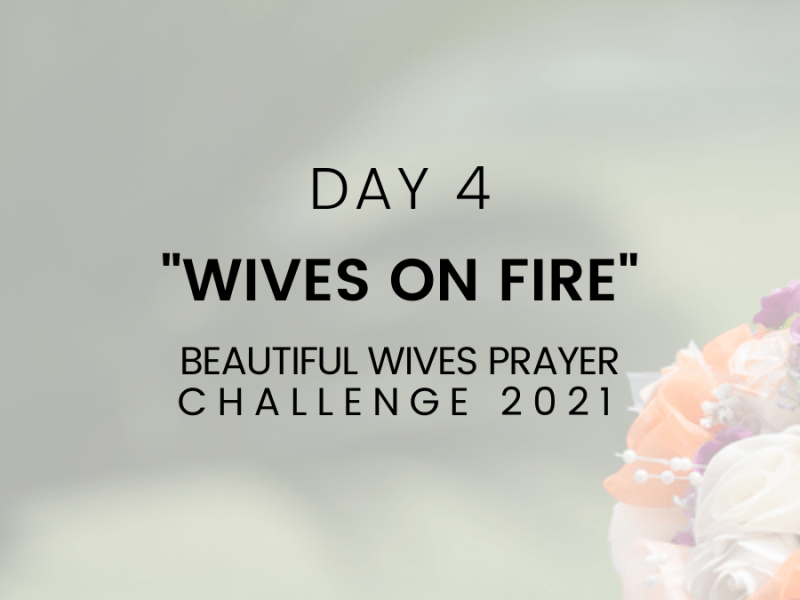 DAY 4 – JOY [inner contententment and&nbsp;satisfaction]