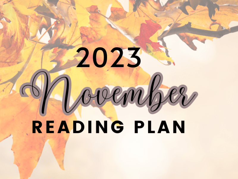 November Bible Reading&nbsp;Plan
